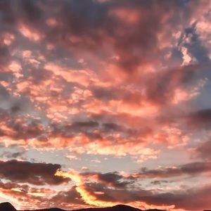 Meet your Posher,DeeDee